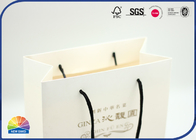 Custom Printed Paper Gift Bag Portable Coated Flat Pack Shoe Medium Shipping Bags